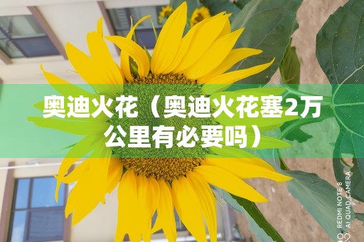 奥迪火花（奥迪火花塞2万公里有必要吗）