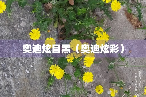 奥迪炫目黑（奥迪炫彩）