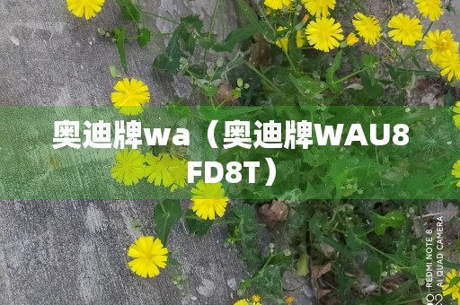 奥迪牌wa（奥迪牌WAU8FD8T）