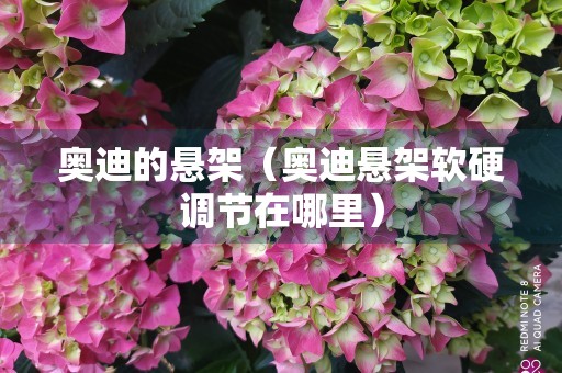 奥迪的悬架（奥迪悬架软硬调节在哪里）