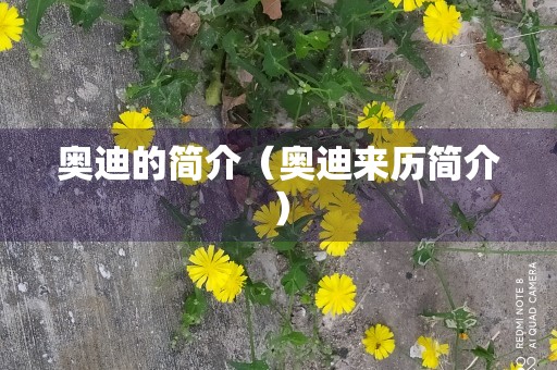 奥迪的简介（奥迪来历简介）