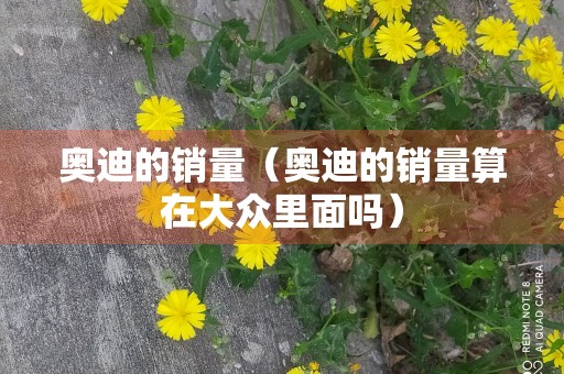 奥迪的销量（奥迪的销量算在大众里面吗）