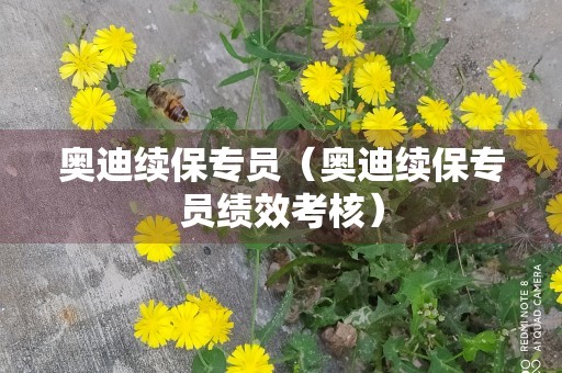 奥迪续保专员（奥迪续保专员绩效考核）