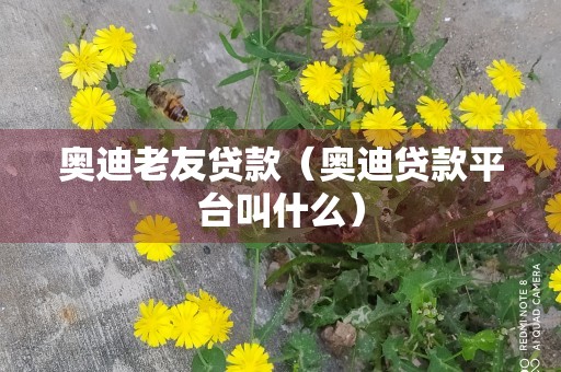 奥迪老友贷款（奥迪贷款平台叫什么）