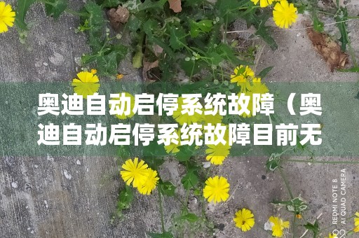 奥迪自动启停系统故障（奥迪自动启停系统故障目前无法启动）