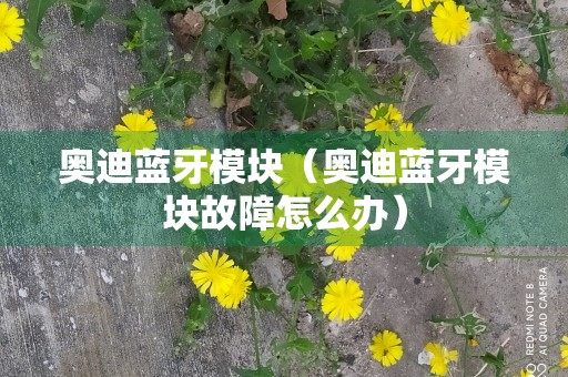 奥迪蓝牙模块（奥迪蓝牙模块故障怎么办）