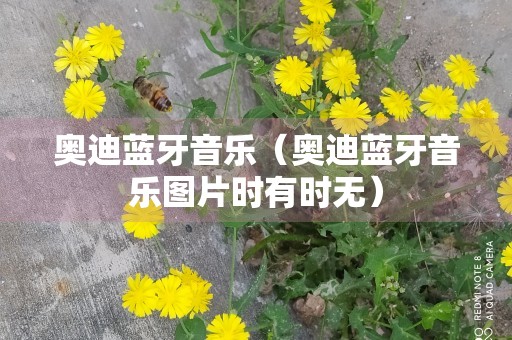 奥迪蓝牙音乐（奥迪蓝牙音乐图片时有时无）