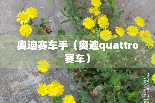 奥迪赛车手（奥迪quattro赛车）