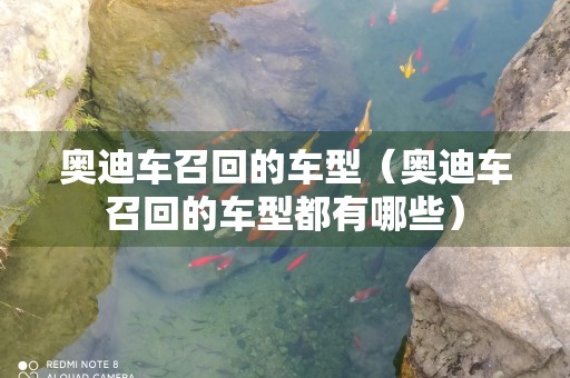 奥迪车召回的车型（奥迪车召回的车型都有哪些）