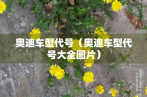 奥迪车型代号（奥迪车型代号大全图片）