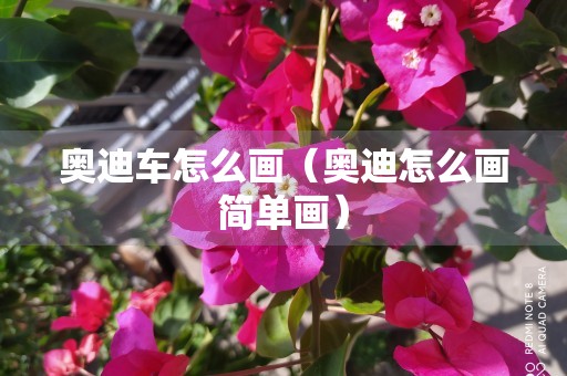 奥迪车怎么画（奥迪怎么画简单画）