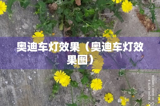 奥迪车灯效果（奥迪车灯效果图）