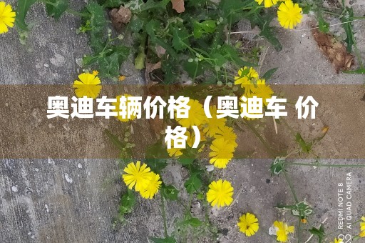 奥迪车辆价格（奥迪车 价格）