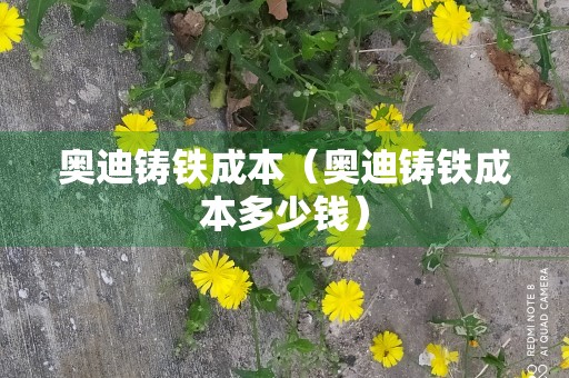 奥迪铸铁成本（奥迪铸铁成本多少钱）