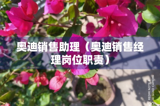 奥迪销售助理（奥迪销售经理岗位职责）