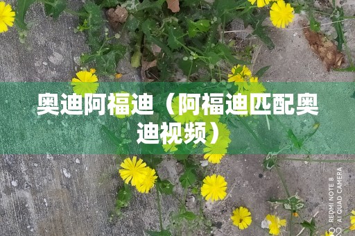 奥迪阿福迪（阿福迪匹配奥迪视频）