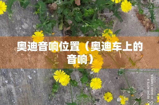 奥迪音响位置（奥迪车上的音响）