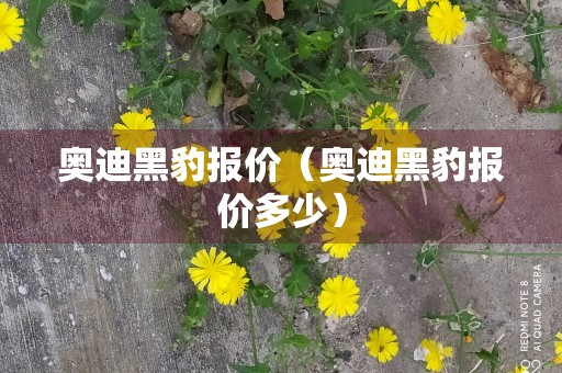 奥迪黑豹报价（奥迪黑豹报价多少）