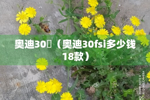 奥迪30丅（奥迪30fsi多少钱18款）