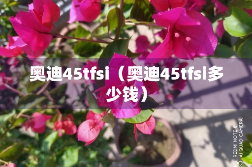 奥迪45tfsi（奥迪45tfsi多少钱）