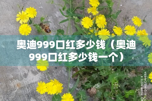 奥迪999口红多少钱（奥迪999口红多少钱一个）