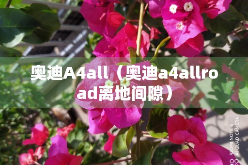 奥迪A4all（奥迪a4allroad离地间隙）