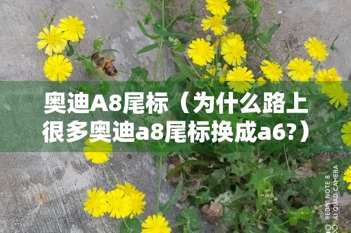 奥迪A8尾标（为什么路上很多奥迪a8尾标换成a6?）