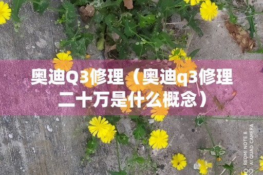 奥迪Q3修理（奥迪q3修理二十万是什么概念）