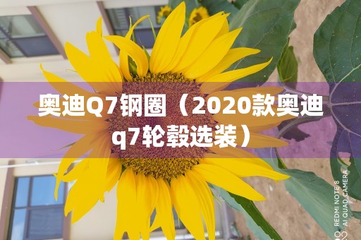 奥迪Q7钢圈（2020款奥迪q7轮毂选装）