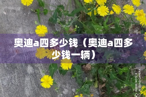 奥迪a四多少钱（奥迪a四多少钱一辆）