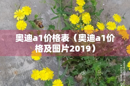 奥迪a1价格表（奥迪a1价格及图片2019）