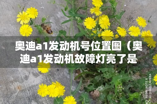 奥迪a1发动机号位置图（奥迪a1发动机故障灯亮了是什么原因）