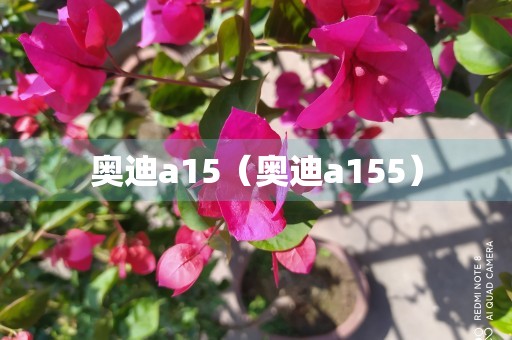 奥迪a15（奥迪a155）