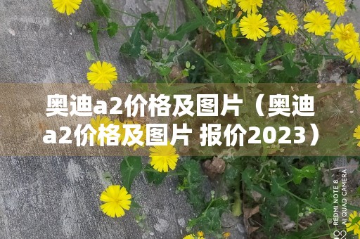 奥迪a2价格及图片（奥迪a2价格及图片 报价2023）