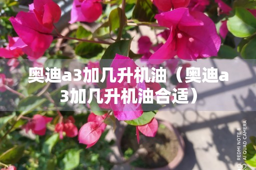 奥迪a3加几升机油（奥迪a3加几升机油合适）