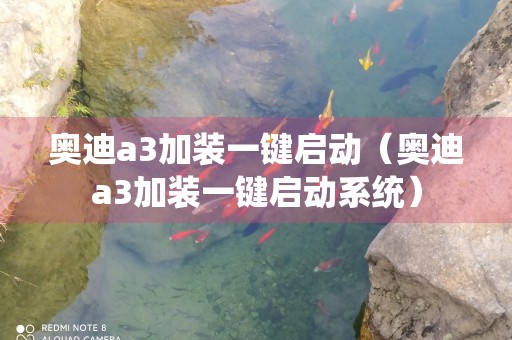 奥迪a3加装一键启动（奥迪a3加装一键启动系统）