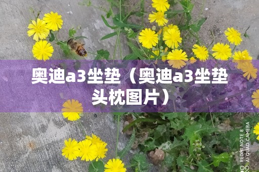 奥迪a3坐垫（奥迪a3坐垫头枕图片）