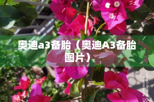 奥迪a3备胎（奥迪A3备胎图片）