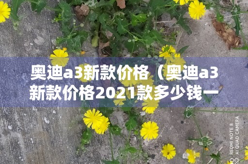 奥迪a3新款价格（奥迪a3新款价格2021款多少钱一辆）