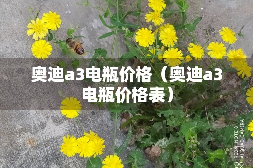 奥迪a3电瓶价格（奥迪a3电瓶价格表）