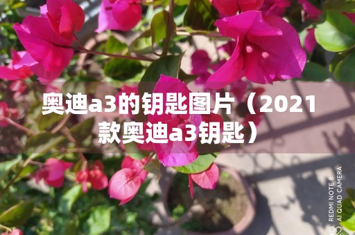 奥迪a3的钥匙图片（2021款奥迪a3钥匙）