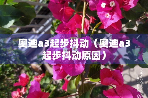 奥迪a3起步抖动（奥迪a3起步抖动原因）