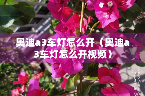 奥迪a3车灯怎么开（奥迪a3车灯怎么开视频）