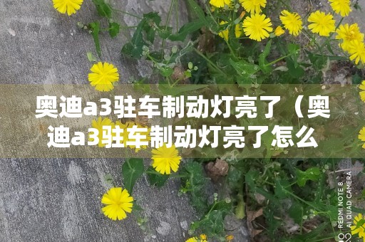 奥迪a3驻车制动灯亮了（奥迪a3驻车制动灯亮了怎么回事）