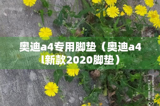 奥迪a4专用脚垫（奥迪a4l新款2020脚垫）