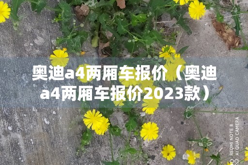 奥迪a4两厢车报价（奥迪a4两厢车报价2023款）