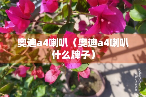 奥迪a4喇叭（奥迪a4喇叭什么牌子）