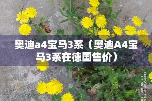 奥迪a4宝马3系（奥迪A4宝马3系在德国售价）