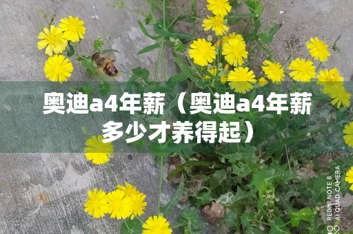 奥迪a4年薪（奥迪a4年薪多少才养得起）