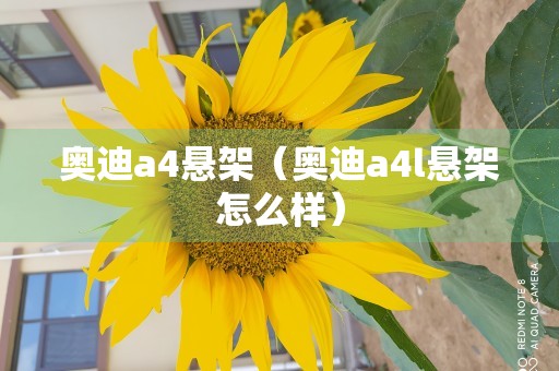 奥迪a4悬架（奥迪a4l悬架怎么样）